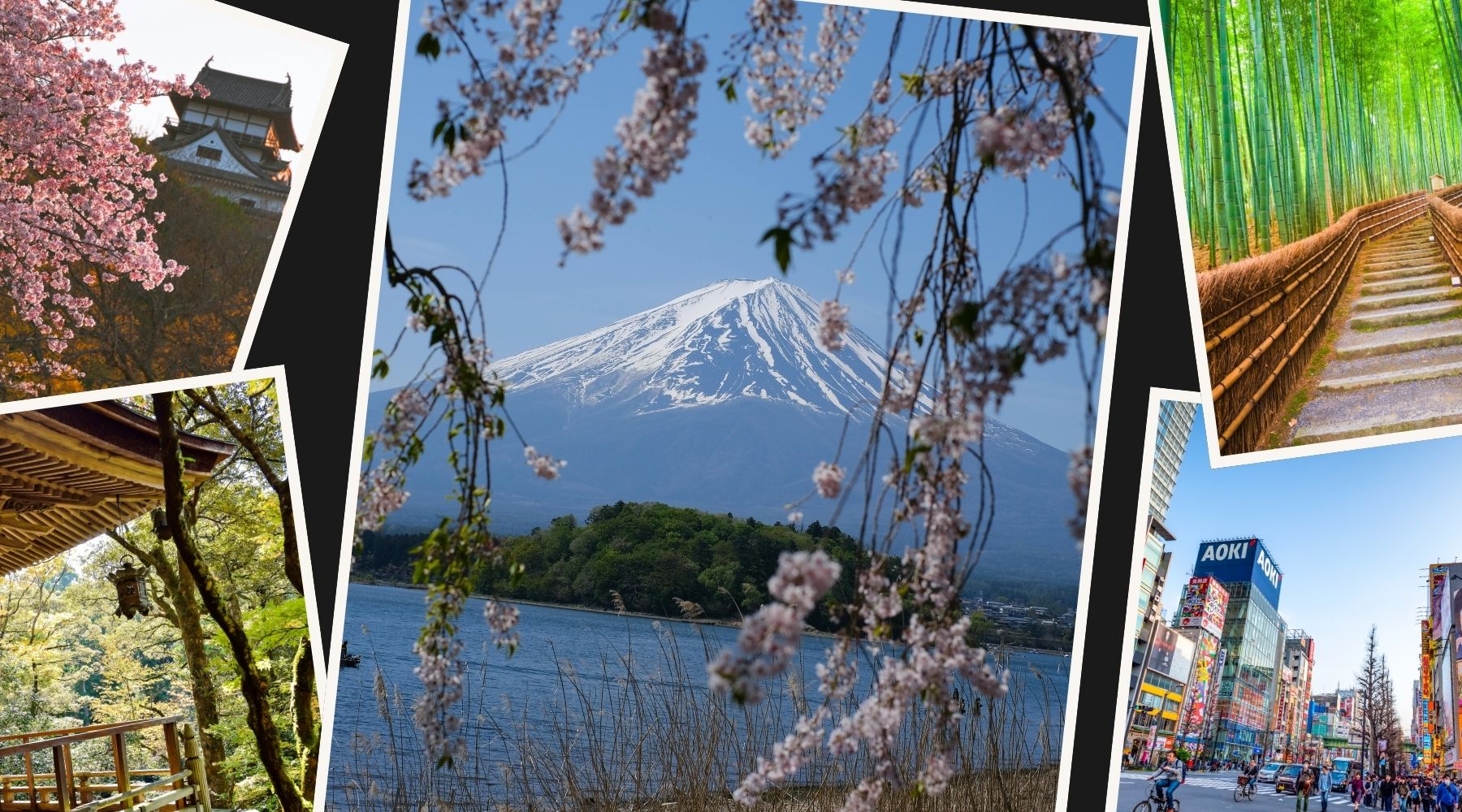 Why Japan Is One of the Most Fascinating Travel Destinations in the World
