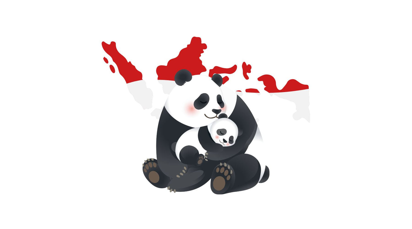 Indonesia's First Giant Panda Cub Is Growing Up Healthy
