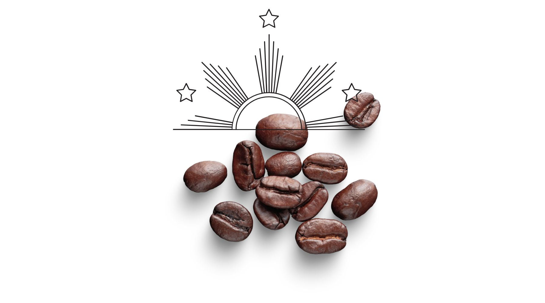 Philippine Coffee | Why Coffee Lovers Should Explore It
